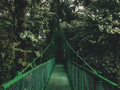 Apostar por la vía medioambiental