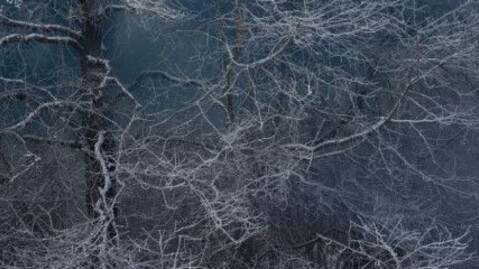 Landscapes. Courtesy of Purdy Hicks Gallery