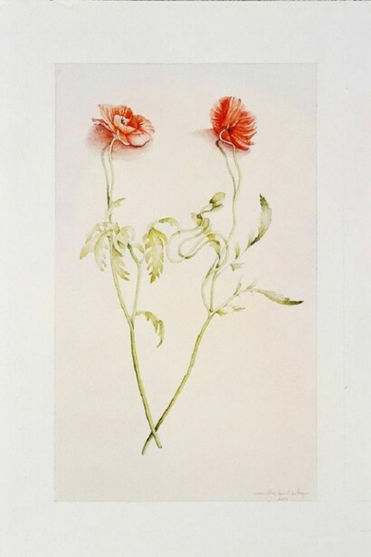 Mariella Busi, Watercolour