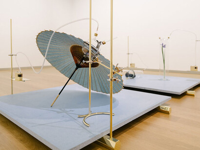 Dane Mitchell. Courtesy of Auckland Art Gallery