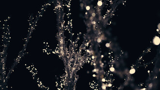 Acercamiento a las ramas de un árbol decorado con luces