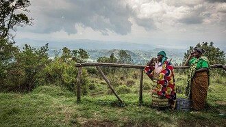 Programma Internazionale di conservazione dei Gorilla, Uganda