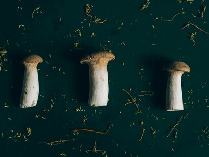 Questo fungo cresce spontaneamente in terreni aridi e nelle vicinanze di piante ombrellifere come l’eryngium, da cui prende il nome