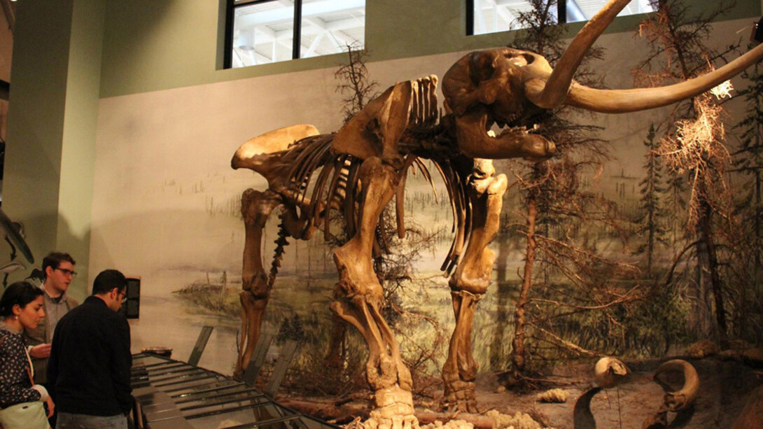 Our Changing Earth. Courtesy of New Brunswick Museum