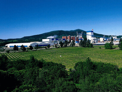 Entorno natural en Arauco, Chile