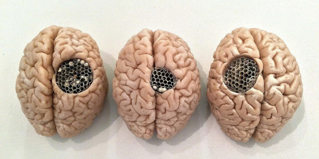Lidó Rico. Courtesy of Luisa Catucci Gallery
