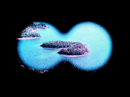 Untitled (Island), Piotr Uklański, (Polish, born Warsaw 1968), Date: 1997, printed 2013, detail