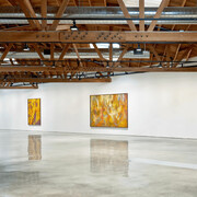 Christina Kimeze, Long loops, exhibition view. Courtesy of Hauser & Wirth Gallery