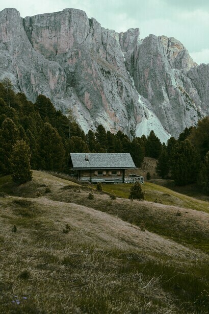 Malbec's grapes are grown close to the Andean mountains of Argentina
