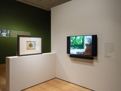 The visionary art of Minnie Evans, exhibition view. Courtesy of Museum of Fine Arts Boston