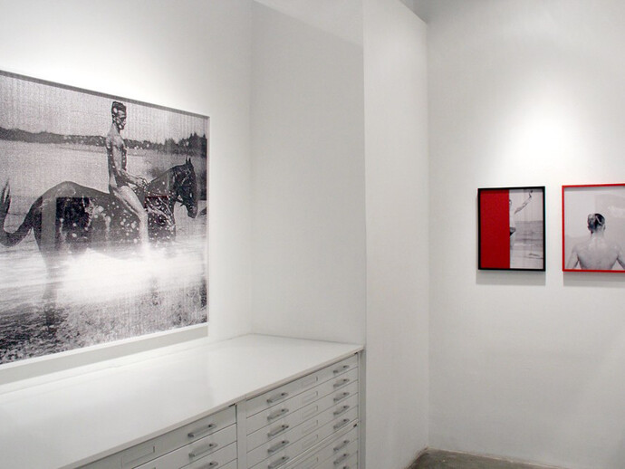 Pacifico Silano, Installation image