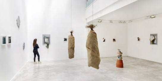 Any Means. Courtesy of Michel Rein Gallery 