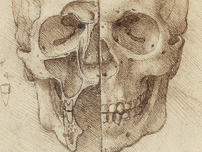 Disegni di Leonardo da Vinci