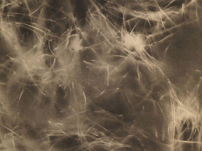 Corrado Cagli, Frenzy (1951), oil on canvassed paper, signed lower right, 49.5 x 69.5 cm (19 1/2 x 27 3/8 in) © Courtesy of Archivio Corrado Cagli and Brun Fine Art.