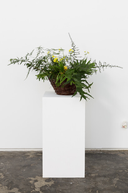 Lucía Prancha, Perseguindo o invisível, 2015. Foto: Bruno Lopes