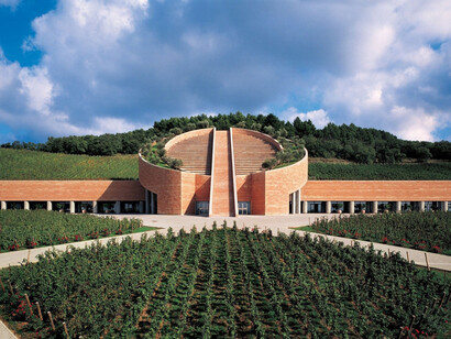 Toscana. Cantina Petra