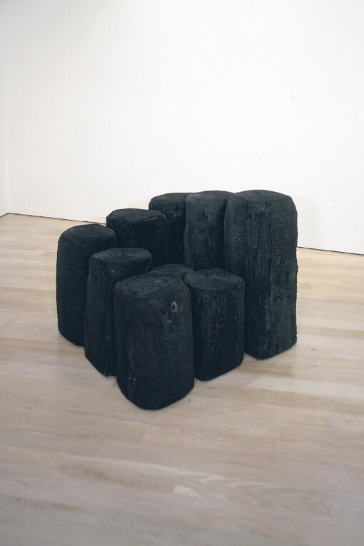 Light / Dark. Courtesy of Annely Juda Fine Art 