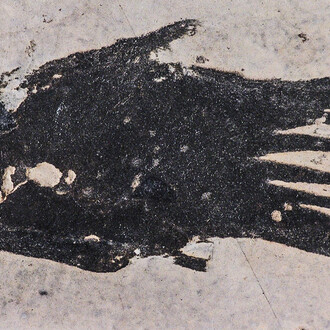 Fossile Fische und Amphibien. Courtesy of Museum für Naturkunde