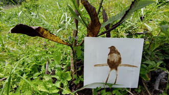 Jonathan Chaves; Ofrendas. Técnica mixta, 2022