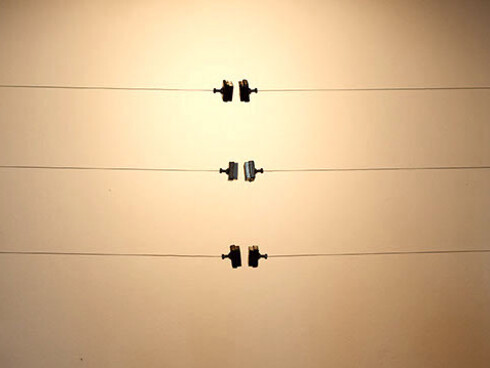 Obra de Gustavo Jesus