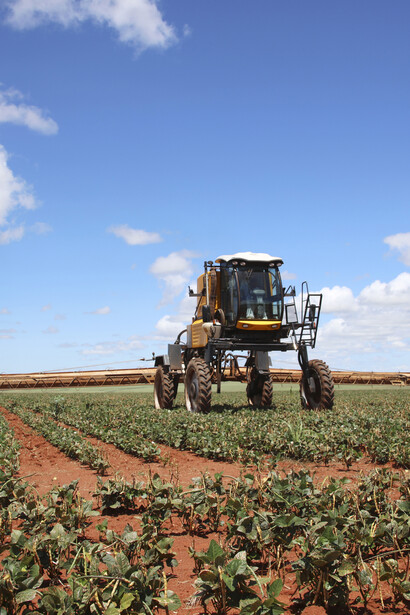 Métodos ecosostenibles para el cultivo de productos agrícolas
