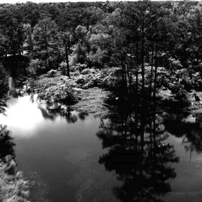 Loris Gréaud. Courtesy of Tel Aviv Museum of Art