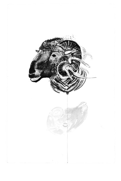 Girolamo Ciulla, 2017, "Ariete che si specchia", carboncino e tempera su carta Arches, 100x150 cm