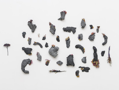 Claudia Di Francesco 1992, carbon fossile, 2021, jesmonite Ac730, pigments, dried flowers, variable dimensions