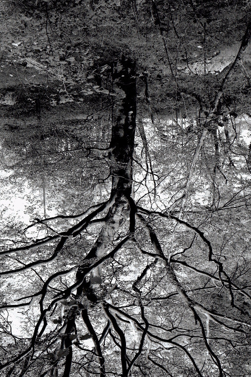 Mahir Jahmal. Courtesy of OSME Gallery 