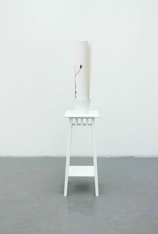 Sarah Woodfine, How to grow an apple tree, 2014, plant stand, plant pot, pencil on Saunders Waterford paper, 150 x 32 x 32 cm