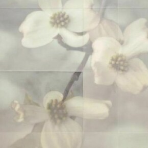Tom Brydelsky, Dogwood Blossoms, 2013, encaustic on archival print mounted on panel 43 x 43 x 2.5 inches