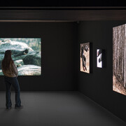 Roman Khimei and Yarema Malashchuk, Pedagogies of war, exhibition view. Courtesy of Museo Thyssen-Bornemisza