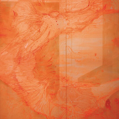 Andrea Bruschi, Cosenz54visioneDiurna, dettaglio