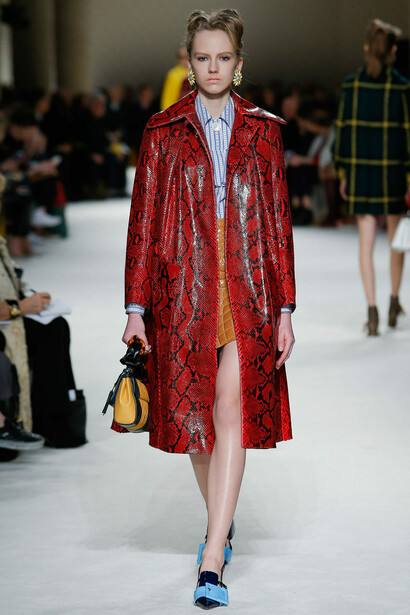 Collezione Miu Miu autunno 2015 alla Fashion Week di Parigi, marzo 2015