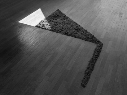 Marco Maria Zanin, Maggese I, 2016, Stampa fine art su carta cotone, 110x137,5 cm. Courtesy of Galleria Civica di Modena