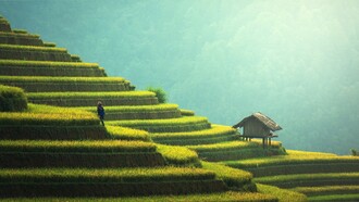 Paisaje asiático