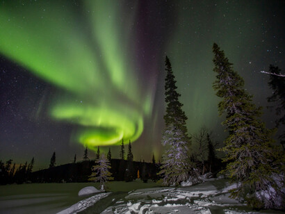 Yuri Ovchinnikov, The seasons. Courtesy of Erarta Museum