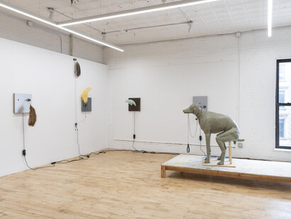 Robert Sandler, Symphony for a Good Boy, 2023, installation view. Courtesy of the artist and Kai Matsumiya, NYC