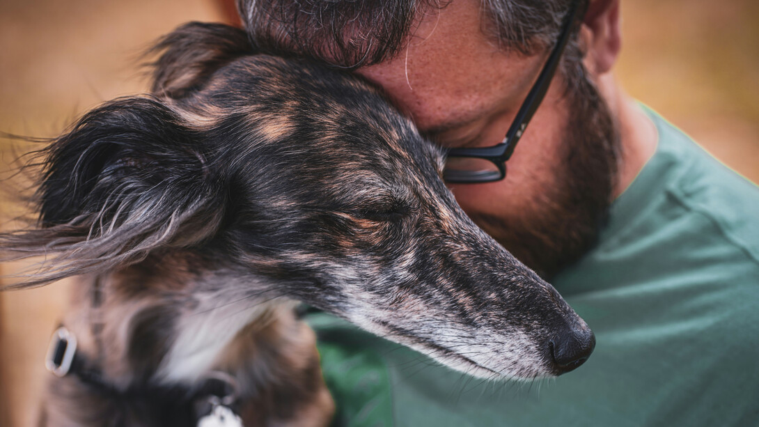 La interrelación entre cambio climático y zoonosis redefine los desafíos de la salud pública global, exigiendo un enfoque integral y transdisciplinario