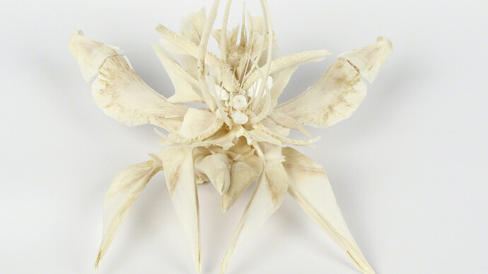 Tamara Ferioli. Courtesy of Officine dell'Immagine Gallery