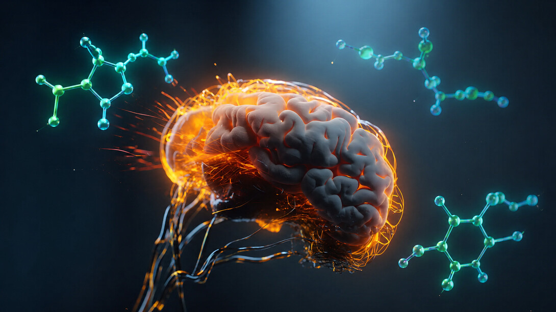 Neuroplastizität ist erforderlich, damit das neuroendokrine Immunsystem seine Struktur,  Funktion und Verbindungen als Reaktion auf intrinsische oder extrinsische Reize neu organisieren kann. Sie bildet die biologische Grundlage für Lernen, Gedächtnis, die Genesung nach Verletzungen und die Anpassung an die Umwelt