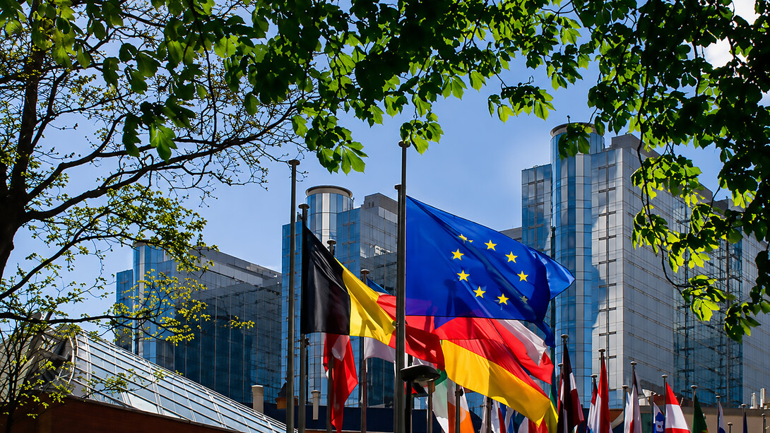 European Union flags displayed in front of the European Parliament in Brussels, Belgium