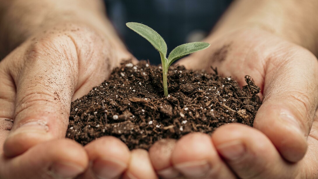 Planto sonhos porque acredito que eles precisam ser realizados, já não planto mais sonhos que não me interessam, eles, além de ocuparem espaços que poderiam ser mais bem utilizados, ainda ocupam o meu tempo, que merece ser investido em sonhos mais empolgantes, que me fazem lutar por eles com todas as minhas forças