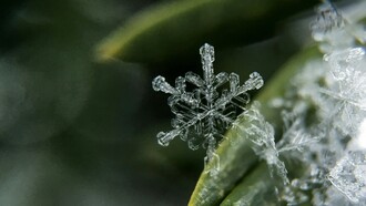 Un iperciclo è un sistema composto da più cicli autocatalitici che si sostengono reciprocamente in una rete chiusa di interazioni