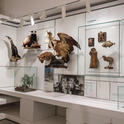 Kosmos, Palazzo Botta Adorno, Pavia