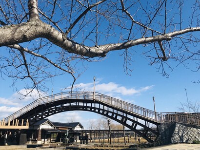 Suigo Itako Ayame Festival © VisitItako