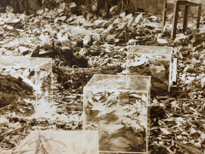 Jose Manuel Fors. Courtesy of Pan American Art Projects