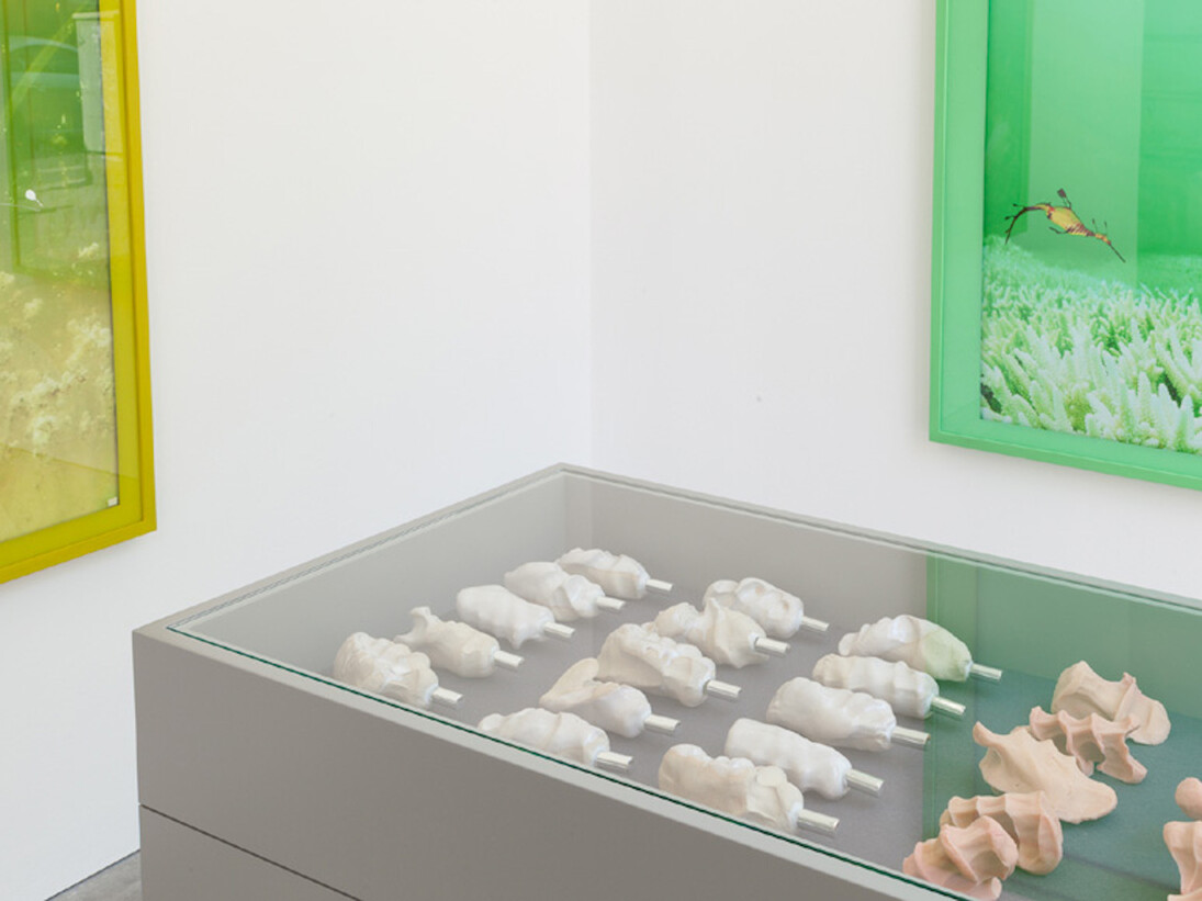 Michael Müller, Exhibition view. Courtesy of Galerie Thomas Schulte