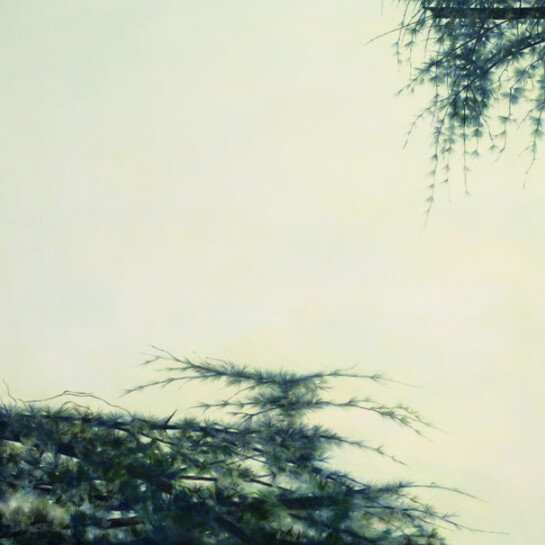 Angela Lyn. Floating gardens. Courtesy of Cortesi Gallery