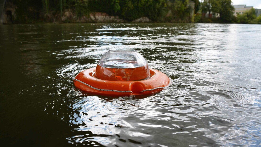 Disturbe. Courtesy of Wunderkammern Milan 